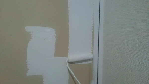 東京都荒川区　マンション　内装工事　巾木、ドア塗装　完工 (1)